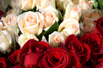 White and red  Beautiful roses on the market counter