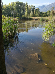 Autumn Lake