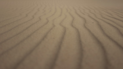 Fototapeta na wymiar Sand Lines