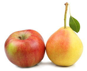 Apple and pear isolated on white background
