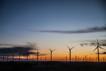 Fototapeta na wymiar Sunset landscape at wind generators field