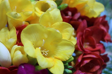 Ramo de fresias