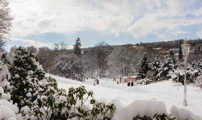 Winter in central park - Marianske Lazne (Marienbad) - great famous Bohemian spa town in the west part of the Czech Republic (region Karlovy Vary)