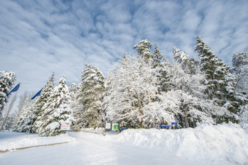 Snow-covered landscape with trees and blue sky, Russian winter.