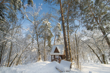 Snow-covered landscape with trees and blue sky, Russian winter.