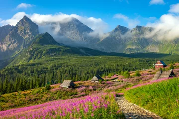 Foto auf Acrylglas Tatra Tatra-Berglandschaft