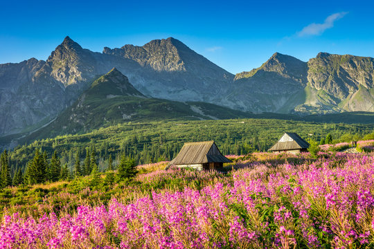 Fototapeta Tatra Mountain landscape