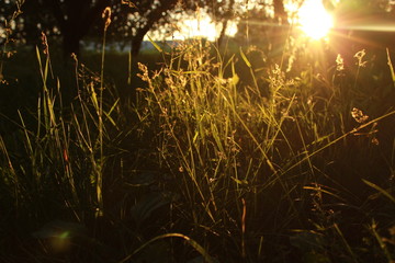 sunrise in the province