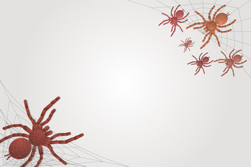 small and large spiders tarantulas on a white background