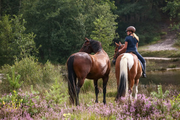 Mädchen mit Pferden in der Heide