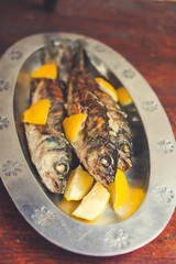 fish