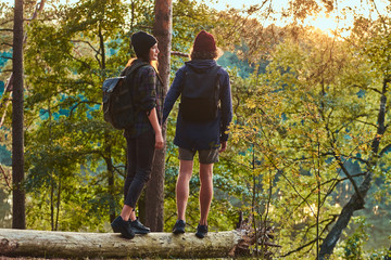 Obraz premium Young hipster couple holding hands standing on a tree trunk in a beautiful forest at sunset. Travel, tourism, and hike concept.