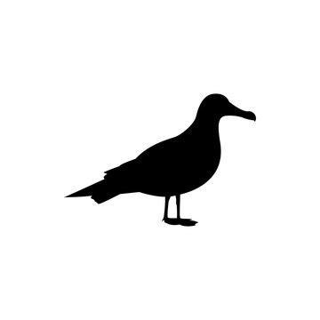 recommend clip art: albatross gull vector silhouette
