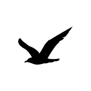 black seagull soaring against white background clip art preview