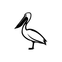 pelican vector silhouette