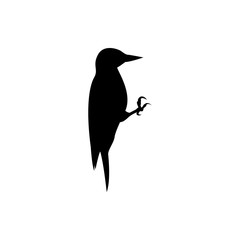 woodpecker vector silhouette
