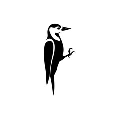woodpecker vector silhouette - obrazy, fototapety, plakaty