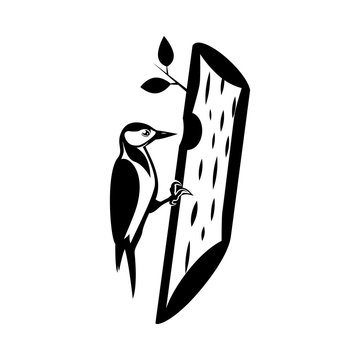 recommend clip art: woodpecker vector silhouette