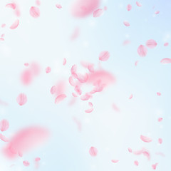 Sakura petals falling down. Romantic pink flowers explosion. Flying petals on blue sky square backgr