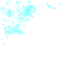 Fototapeta na wymiar Turquoise flower petals falling down. Resplendent romantic flowers corner. Flying petal on white squ