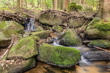 Fototapeta premium Kamienie