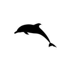 dolphin vector silhouette