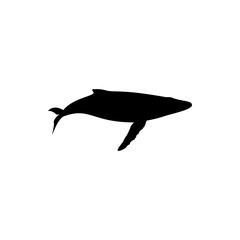 whale vector silhouette