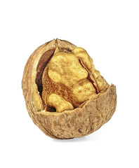 Kernel walnut isolated on white background
