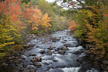 Stream in autumn in New Hampshire