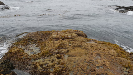 Point Lobos State Natural Reserve ocean with rocks in Carmel California USA