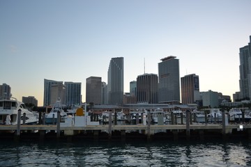 Naklejka premium big city