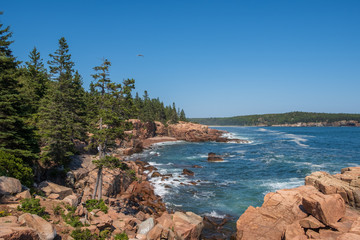 Rocky Coastline - Acadia National Park