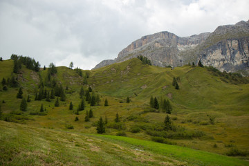 Fototapeta na wymiar pastures in Alps, South Tirol, Italy