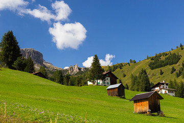 Fototapeta na wymiar pastures in Alps, South Tirol, Italy