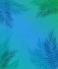 Fototapeta na wymiar Beautiful Palm Leaf Background. Vector Illustration