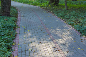 empty cycle curve paved road in outdoor park space in morning fresh weather