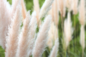 NATURALEZA 8. OTOÑO