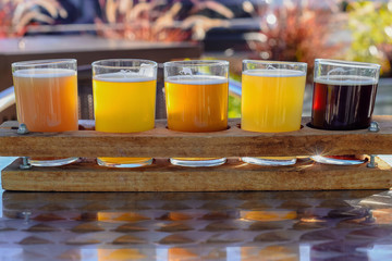 Closeup of 5 tasting glasses of seasonal beer lined up for sampling