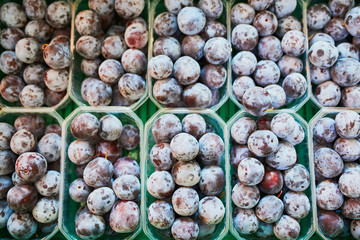 Fresh organic vegetables and fruits on farmer market