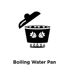 boiling water pan icon vector isolated on white background, logo concept of boiling water pan sign on transparent background, black filled symbol icon