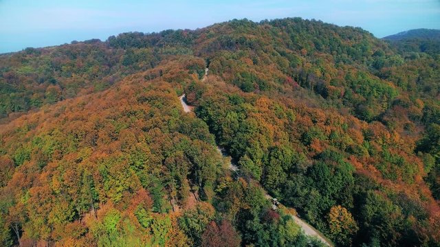 Aerial view of a forest treetops in autumn