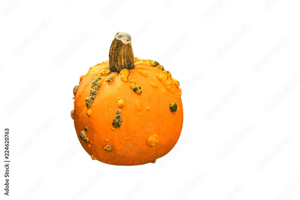 Wall mural a fresh raw pumpkin isolated on white background.