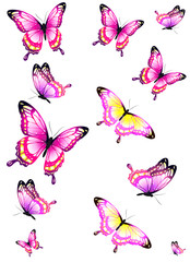mooie roze vlinders, geïsoleerd op een witte
