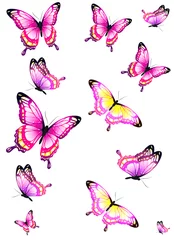 Fotobehang Vlinders mooie roze vlinders, geïsoleerd op een witte