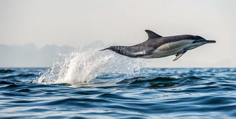 Foto op Plexiglas Dolfijn Een dolfijn en een vogel.