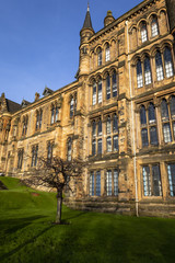 Fototapeta premium Glasgow University on a sunny day with a tree outside