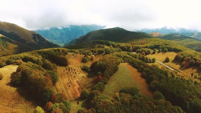 Beautiful autumn Italian landscapes of hills, mountains and valleys with cattle grazing and foggy clouds, drone shot
