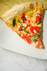 Margherita Pizza Slice
