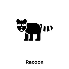 Fototapeta na wymiar racoon icon vector isolated on white background, logo concept of racoon sign on transparent background, black filled symbol icon