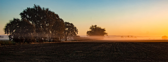 Sunrise unplanted field with fog and trees